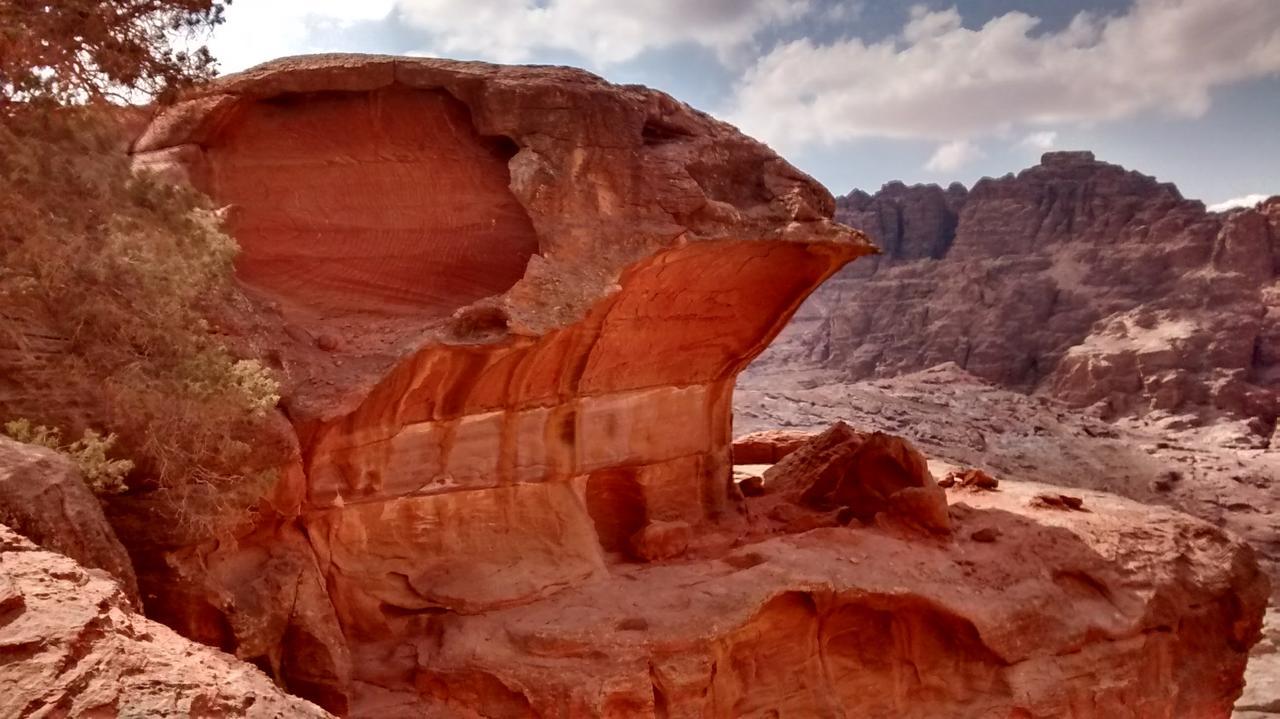 Petra Bedouin Bed And Breakfast Wadi Musa Buitenkant foto